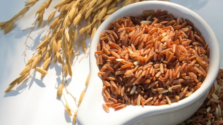 healthiest-rice-best-5-rice-you-can-eat-2024