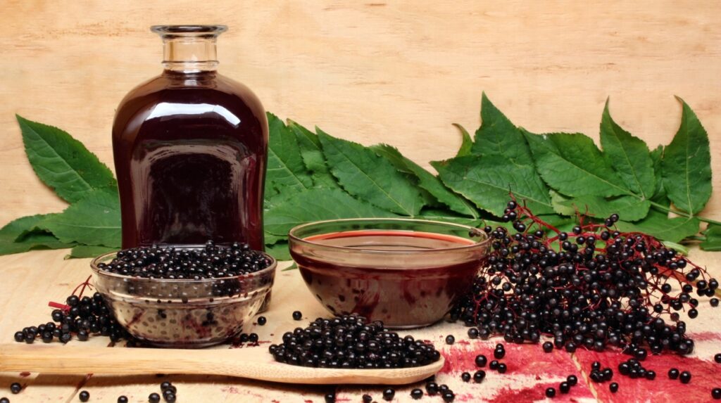 can you take elderberry while pregnant