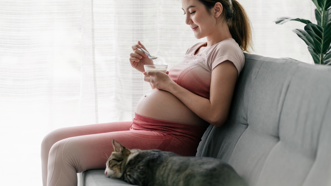 What Cheeses Are Safe to Eat During Pregnancy?